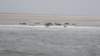 HWK Texel 2015 067_small.jpg